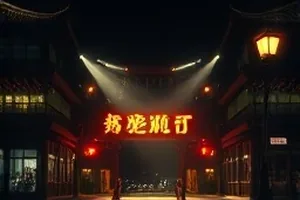 《铁轨与新芽》废弃支线旁新翻的菜地全景
